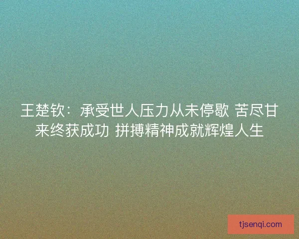 王楚钦：承受世人压力从未停歇 苦尽甘来终获成功 拼搏精神成就辉煌人生