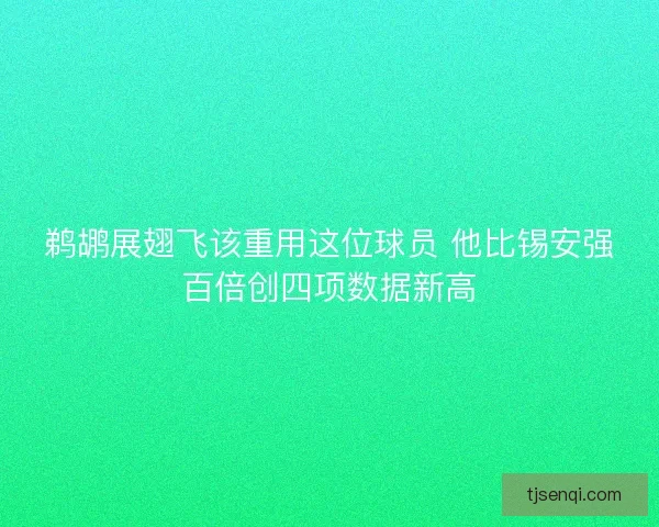 鹈鹕展翅飞该重用这位球员 他比锡安强百倍创四项数据新高